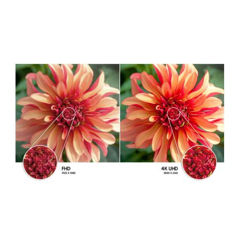 Аренда плазменная панель 85 дюймов 4к Киев, Украина